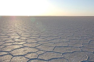 تشکیل حلقه انسانی و امضای طومار برای نجات دریاچه نمک