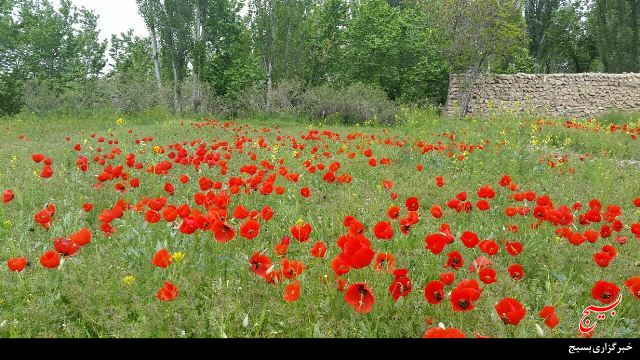 Image result for ‫روستای اکنلو در شهر همدان‬‎