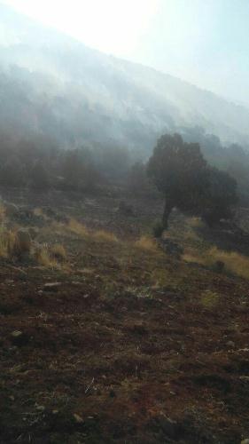 آتش سوزی در مراتع روستای ملک آباد دلفان+تصاویر