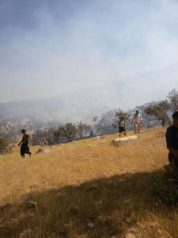 آتش در جنگلهای بلوران کوهدشت همچنان شعله ور می شود+تصاویر