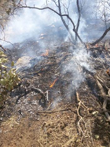 آتش در جنگلهای بلوران کوهدشت همچنان شعله ور می شود+تصاویر