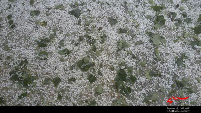 تصاویری از بارش تگرگ درشهرستان دلفان