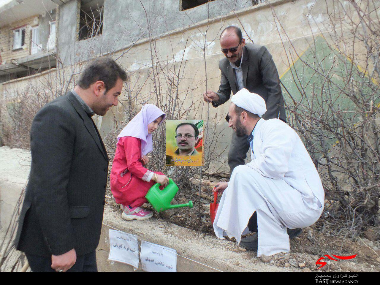 کاشت نهال به یاد اولین شهید مدافع حرم شهرستان خلخال