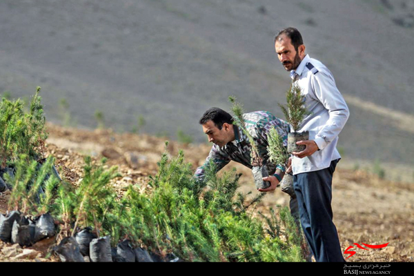 کاشت ۵۰ هزار اصله نهال در اردبیل همزمان با روز درختکاری