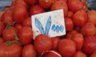 قیمت گوجه فرنگی تا 2 هفته دیگر کاهش می‌یابد