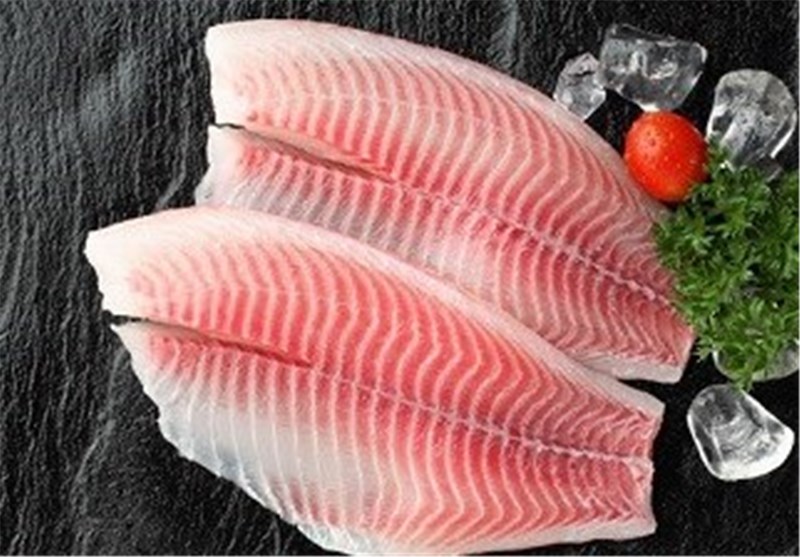 ماهی فروشان قزل آلا به خون واردکنندگان ماهی تیلاپیا تشنه هستند