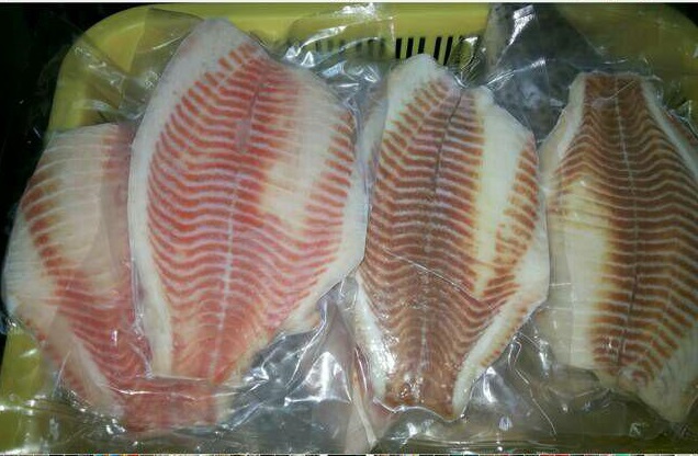 فرآوری مشکوک ماهی وحشی تیلاپیا/نابودی تولید داخل با واردات ماهی تیلاپیا از چین