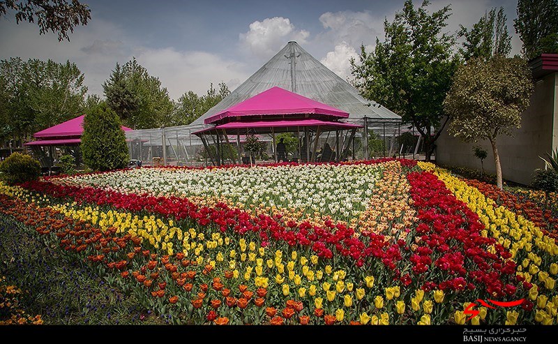 مهمانی هزاران گل در کرج پایتخت لاله ایران
