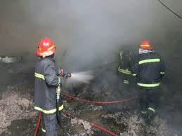 آتش‌سوزی در جنگل‌های مجاور دانشگاه آزاد ملایر