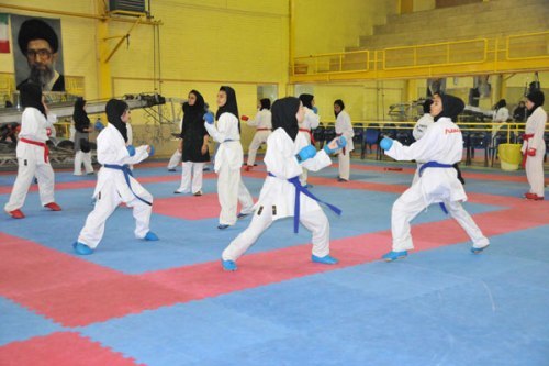 دانش‌آموزان گل‌تپه موفق به کسب 15 مدال در مسابقات کاراته استانی شدند