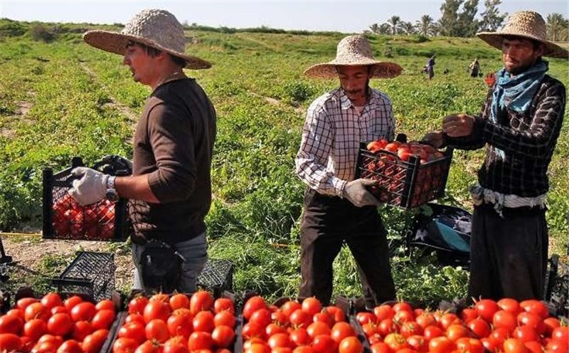 صادرات محصولات کشاورزی آمریکا به ایران تهدید امنیتی است