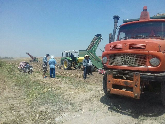 اعزام 30 دستگاه کامیون از همدان به خوزستان برای حمل چغندرقند