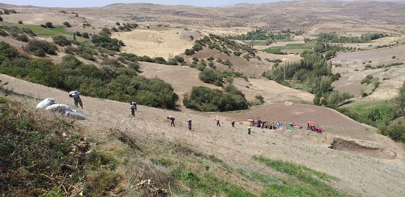 احداث آب انبار و تامین آب شرب روستای تفیه نمین توسط گروه‌های جهادی