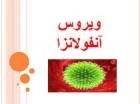 آنفلوانزا در استان کردستان باز هم قربانی گرفت