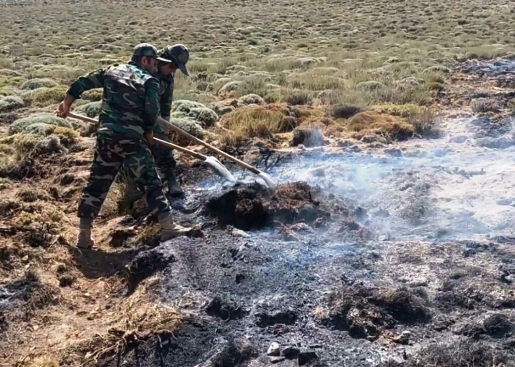 آفت‌زدایی ۵۰۰ هکتار از تاغزار‌های شرق استان سمنان توسط جنگلبانان/مهار ۲ مورد آتش سوزی