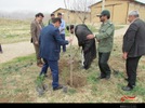 درختکاری در فارسان به مناسبت هفته منابع طبیعی