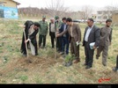 درختکاری در فارسان به مناسبت هفته منابع طبیعی