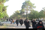 همایش پیاده روی مدافعان حریم خانواده در کاشمر برگزار شد