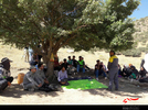 کارگاه معرفی مناطق چهارگانه محیط زیستی و پاکسازی طبیعت در منطقه بید میری دورود 