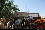 فعالیت گروه جهادی عجب شیر در روستای گل تپه و شیراز 