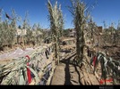 نمایشگاه یادیاران در شهرستان خوشاب