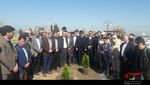 مراسم روز درختکاری در شهر تازه کند برگزارشد