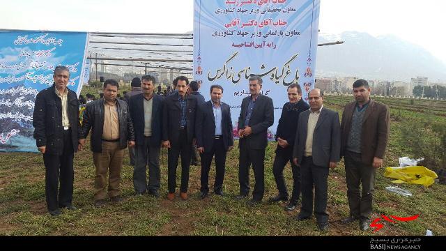 باغ گیاه‌شناسی زاگرس در خرم آباد افتتاح شد