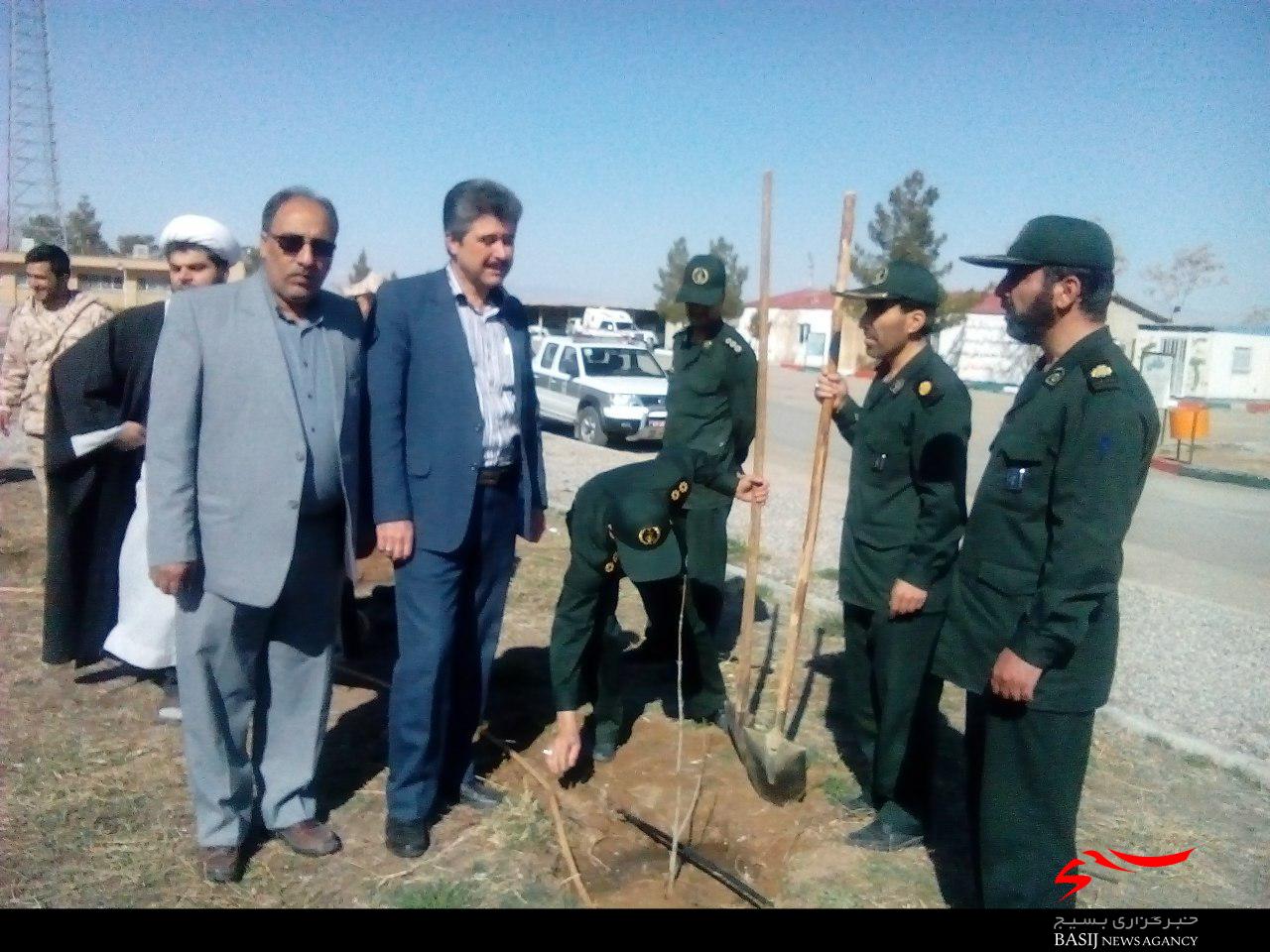 تصاویر/غرس نهال توسط پرسنل سپاه ناحیه میامی
