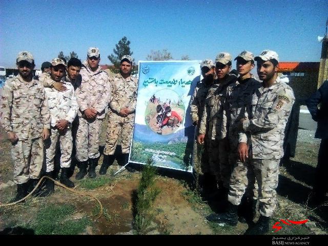 تصاویر/غرس نهال توسط پرسنل سپاه ناحیه میامی