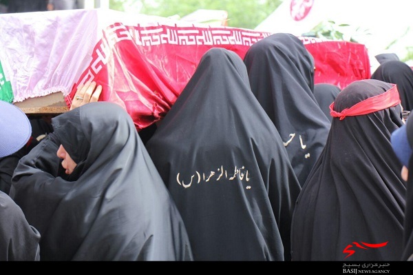 بازگشت پرستوها به روی دست عاشقان