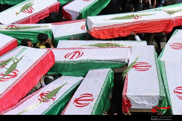 بازگشت پرستوها به روی دست عاشقان