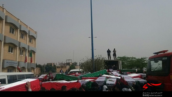 بازگشت پرستوها به روی دست عاشقان