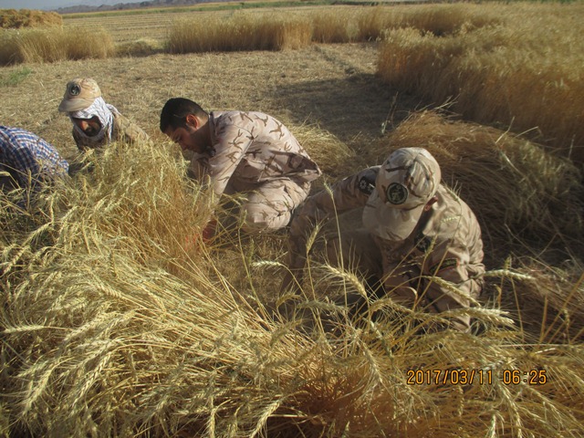 اردوی جهادی یکروزه بسیجیان ناحیه شهرستان خوسف