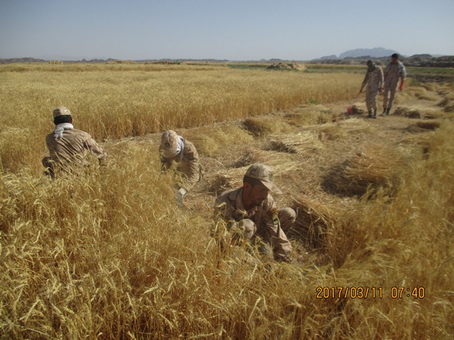 اردوی جهادی یکروزه بسیجیان ناحیه شهرستان خوسف