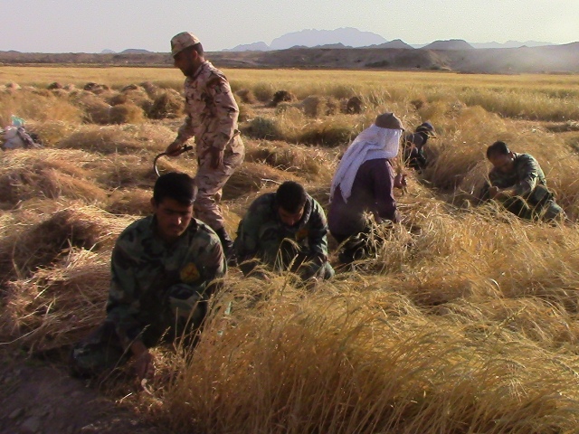 اردوی جهادی یکروزه بسیجیان ناحیه شهرستان خوسف