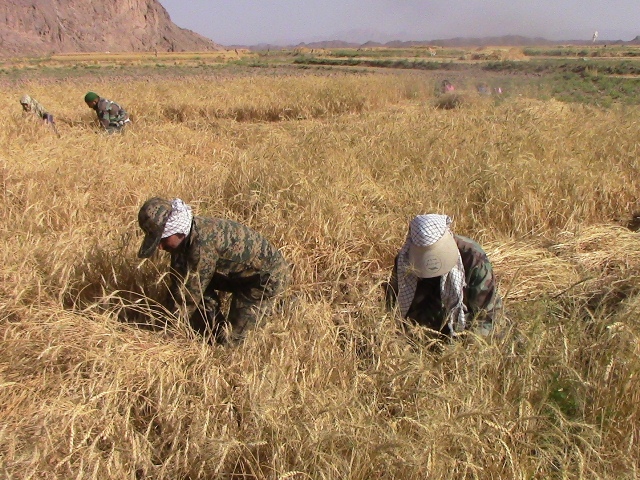 اردوی جهادی یکروزه بسیجیان ناحیه شهرستان خوسف