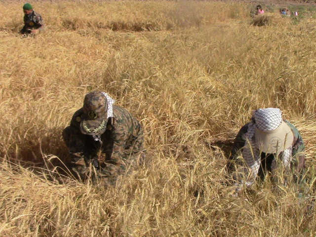 اردوی جهادی یکروزه بسیجیان ناحیه شهرستان خوسف
