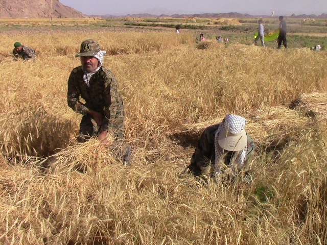 اردوی جهادی یکروزه بسیجیان ناحیه شهرستان خوسف