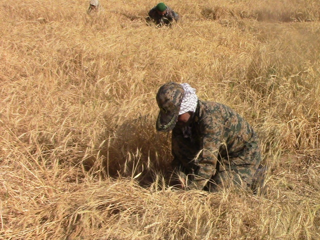 اردوی جهادی یکروزه بسیجیان ناحیه شهرستان خوسف