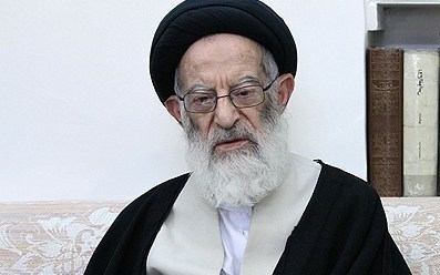 امیرآبادی با آیت‌الله شبیری زنجانی دیدار کرد‌