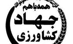 کشت گیاهان مقاوم با شوری آب در قم
