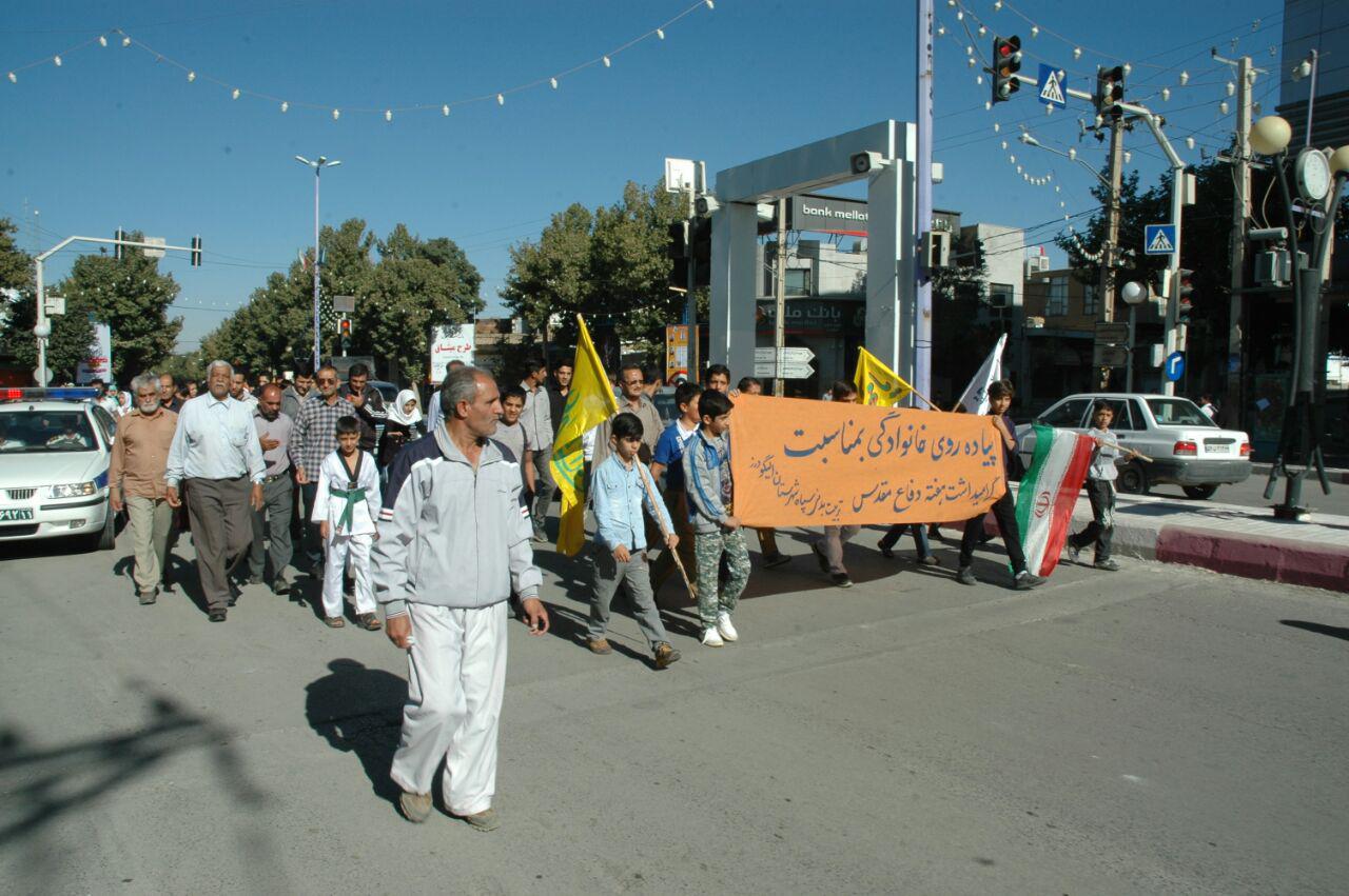 برگزاری همایش پیاده روی خانوادگی در ناحیه الیگودرز+عکس