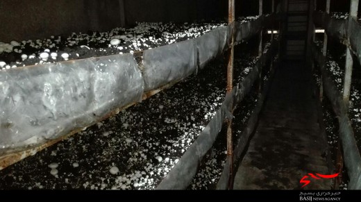 همت مساوی است با به نتیجه رسیدن