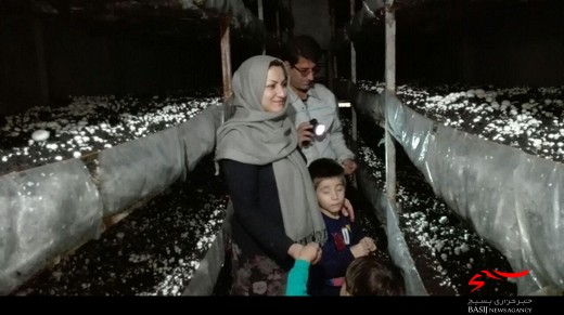 همت مساوی است با به نتیجه رسیدن