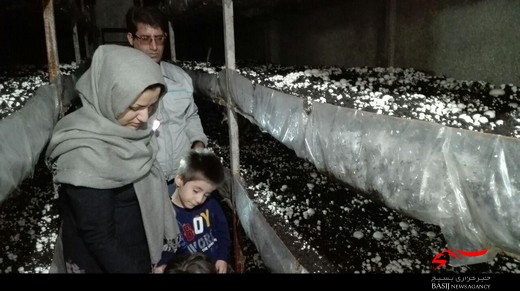 همت مساوی است با به نتیجه رسیدن