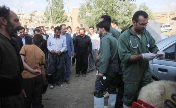 دانشجویان جهادگر کردستانی در بخش سارال دیواندره