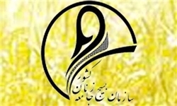 دیدار با خانواده 130 زن شهید قم در هفته بسیج