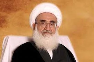 مردم به ولایتمدار و خدمتگزار واقعی رای دهند