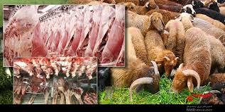 با پیداش بیماری تب کریمه کنگو مردم از مکان های غیر مجاز تحت هیچ شرایطی خرید گوشت نداشته باشند
