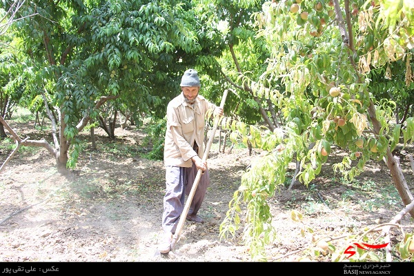 به تولیدکننده ماهی برق نمی دهند/ پای درد و دل یک کشاورزی//توجه صحبت ربانی در مرود کشاورزی